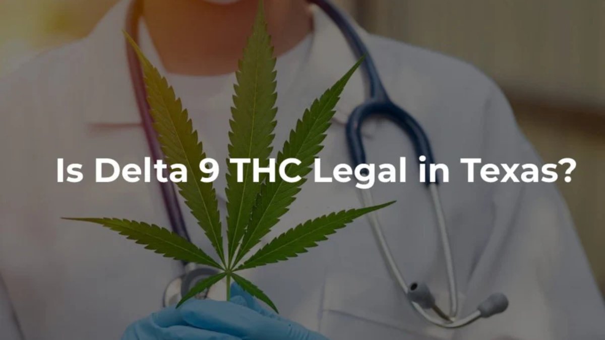 Is Delta 9 legal in Texas? Everything You Should Know!  beeZbee