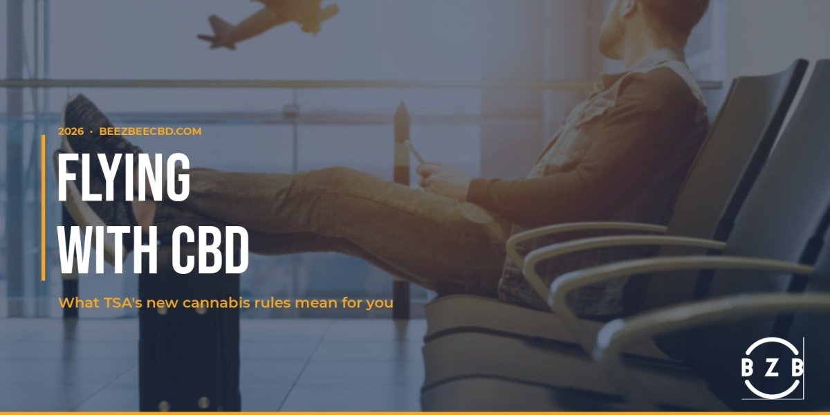 Flying With CBD: What TSA's New Rules Mean - beeZbee