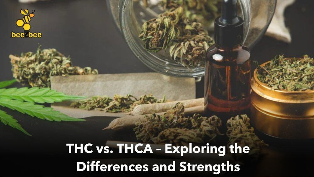 THC vs. THCA – Exploring the Differences and Strengths - beeZbee