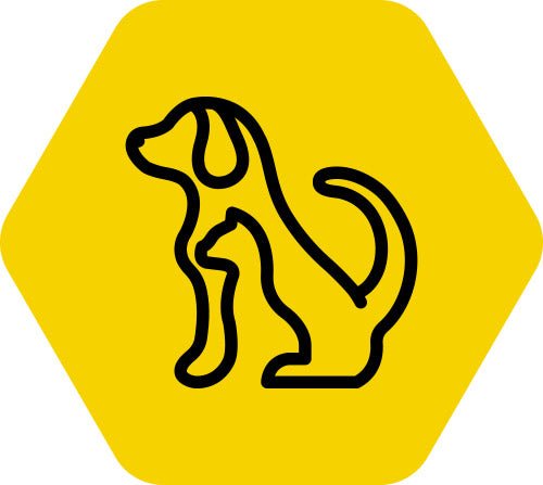 Pets - beeZbee